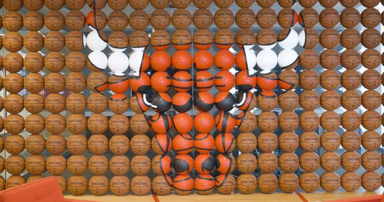 Chicago Bulls image