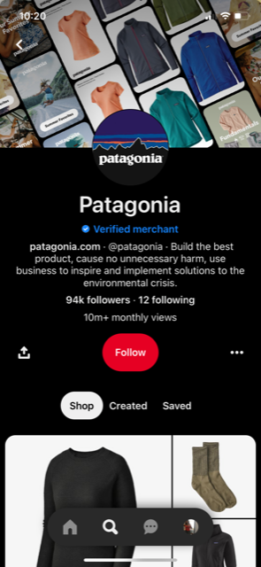 Patagonia's Pinterest account with a verified merchant badge.
